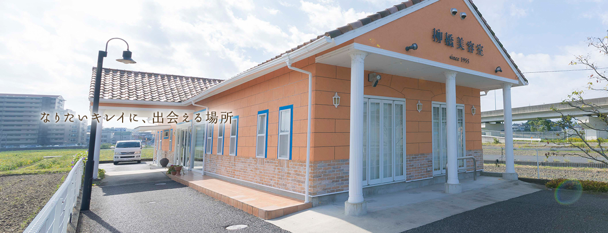 イメージ画像